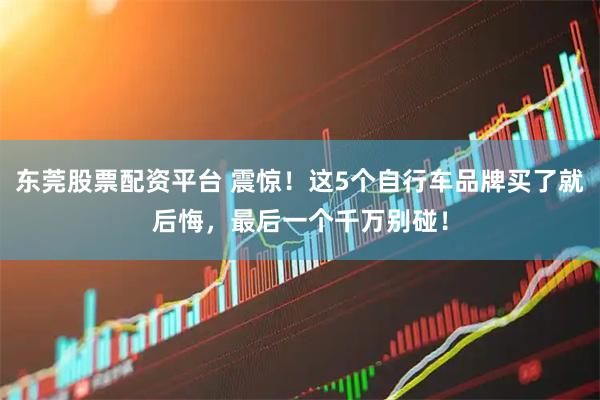 东莞股票配资平台 震惊！这5个自行车品牌买了就后悔，最后一个千万别碰！