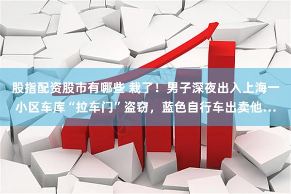 股指配资股市有哪些 栽了！男子深夜出入上海一小区车库“拉车门”盗窃，蓝色自行车出卖他…