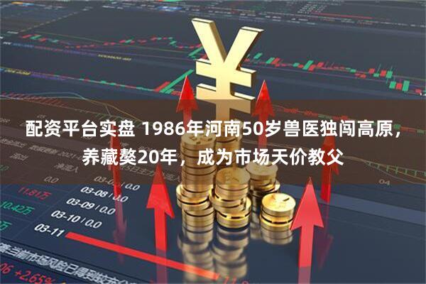 配资平台实盘 1986年河南50岁兽医独闯高原，养藏獒20年，成为市场天价教父